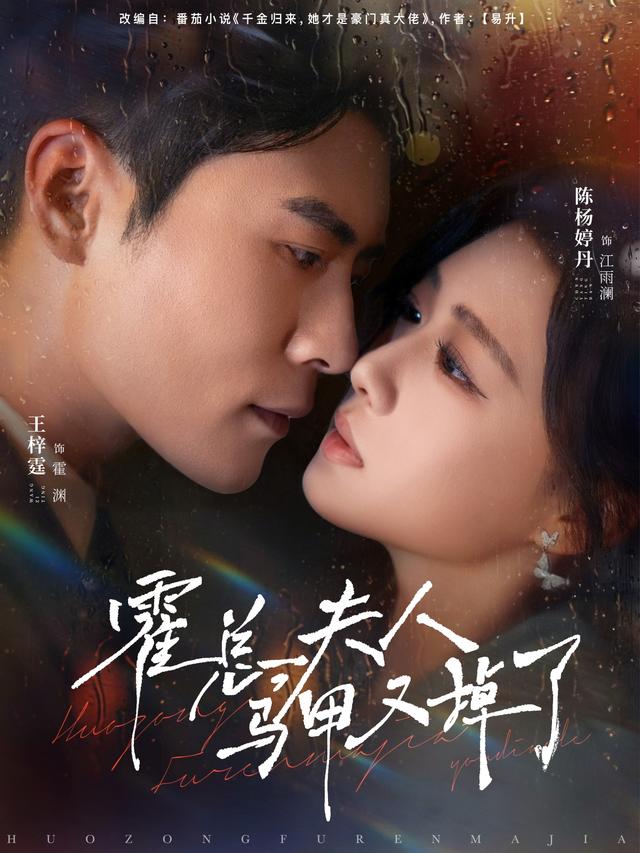 霍总，夫人马甲又掉了海报